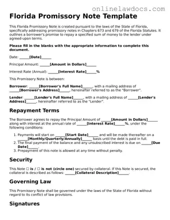 Legal  Promissory Note Document for Florida