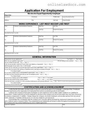 Fill a Valid Spanish Application Employment Form